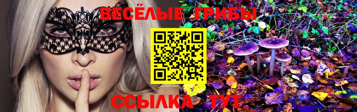 Псилоцибиновые грибы ЛСД Пятигорск