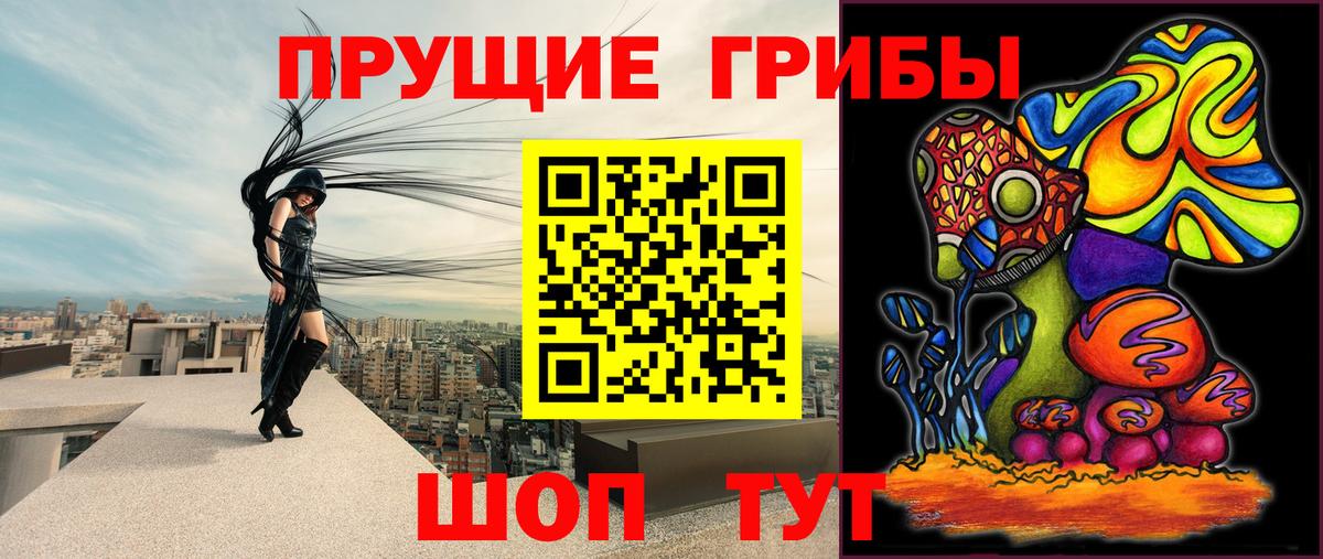 Псилоцибиновые грибы GOLDEN TEACHER  Псилоцибиновые грибы прущие грибы  Пятигорск  Вход с VPN 